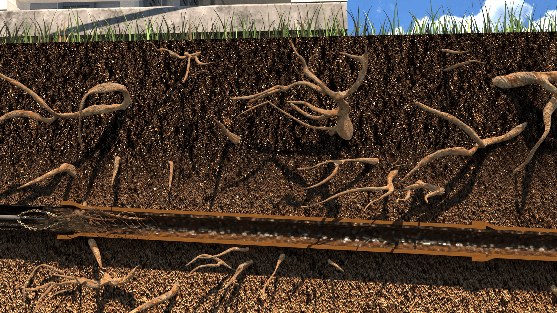 Mechanical chain cutter removing tree root intrusion from sewer pipe